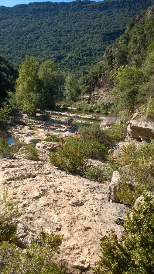 Logement Cosy 58M2 Centre Ville Perpignan Kültér fotó